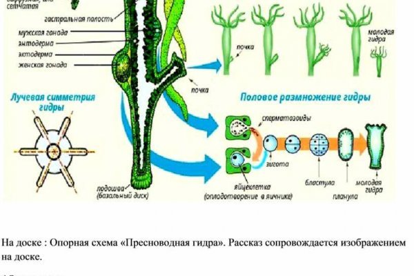 Кракен зайти