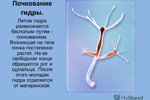 Оригинальный сайт кракен